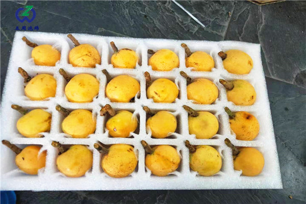 防止水果運(yùn)輸霉變，用珍珠棉水果托就對(duì)了
